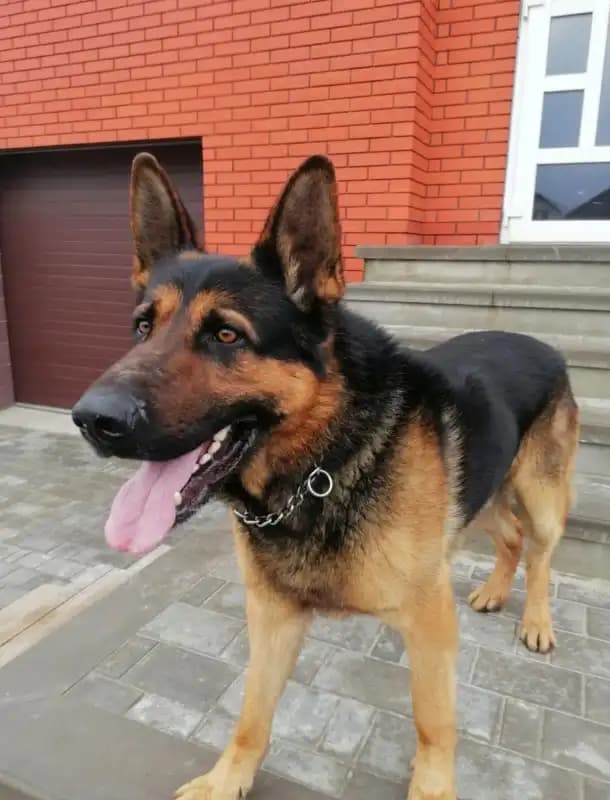 carousel-image-mobile-4