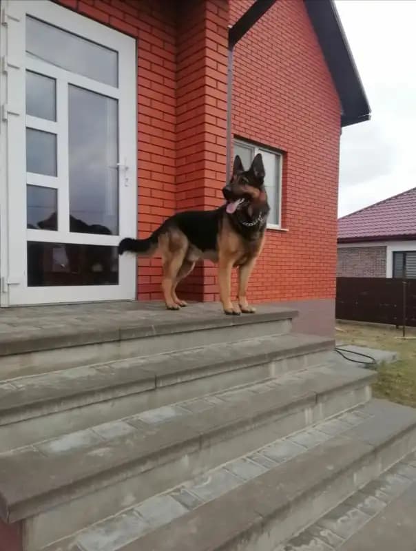 carousel-image-mobile-5