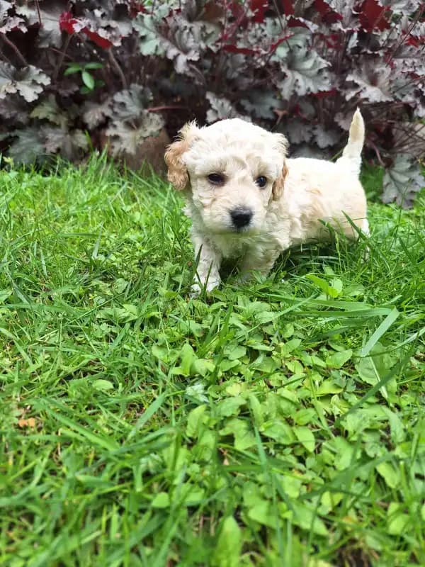 carousel-image-mobile-2