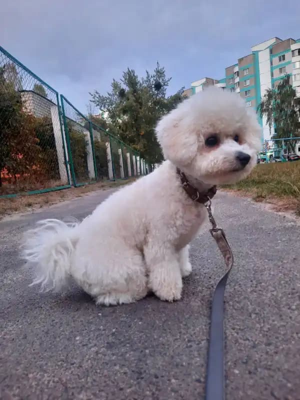 carousel-image-mobile-3