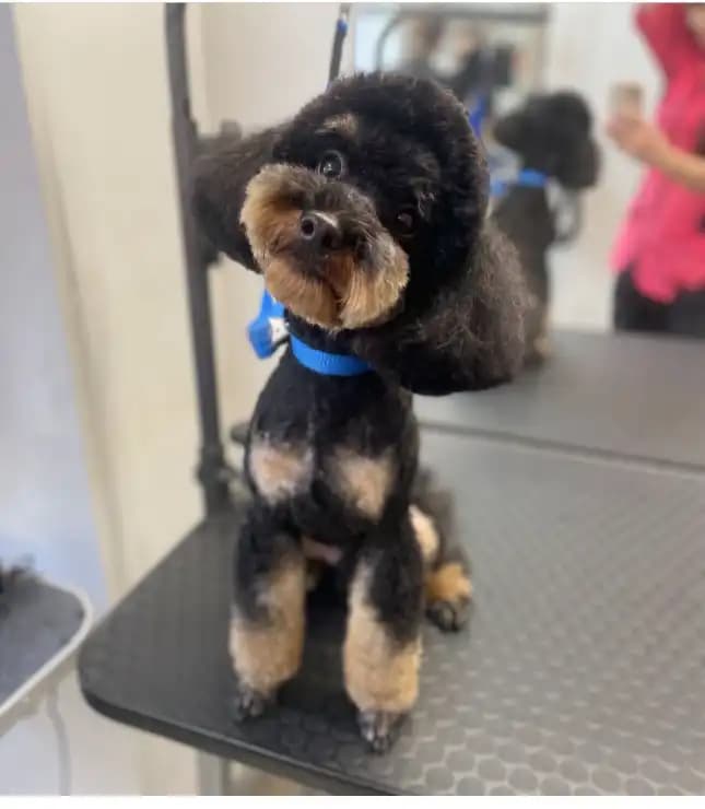 carousel-image-mobile-4