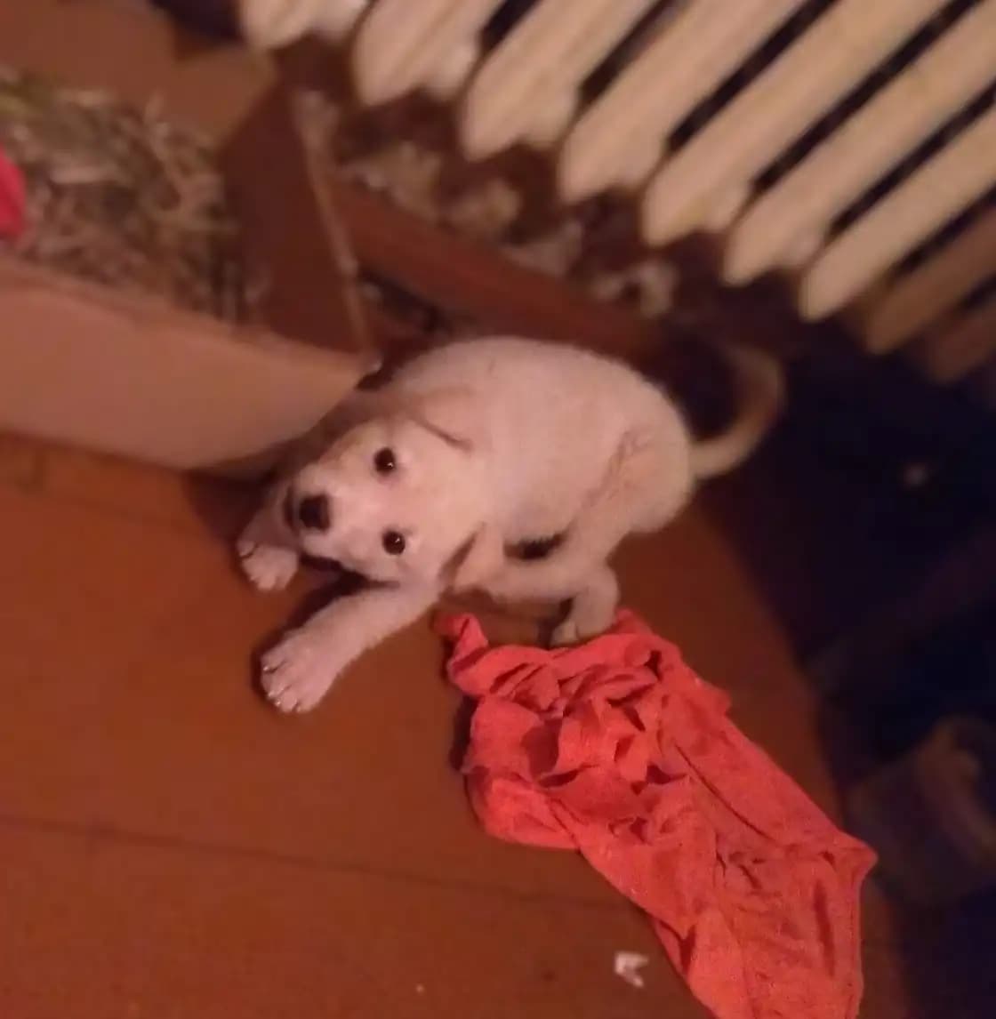 carousel-image-mobile-1