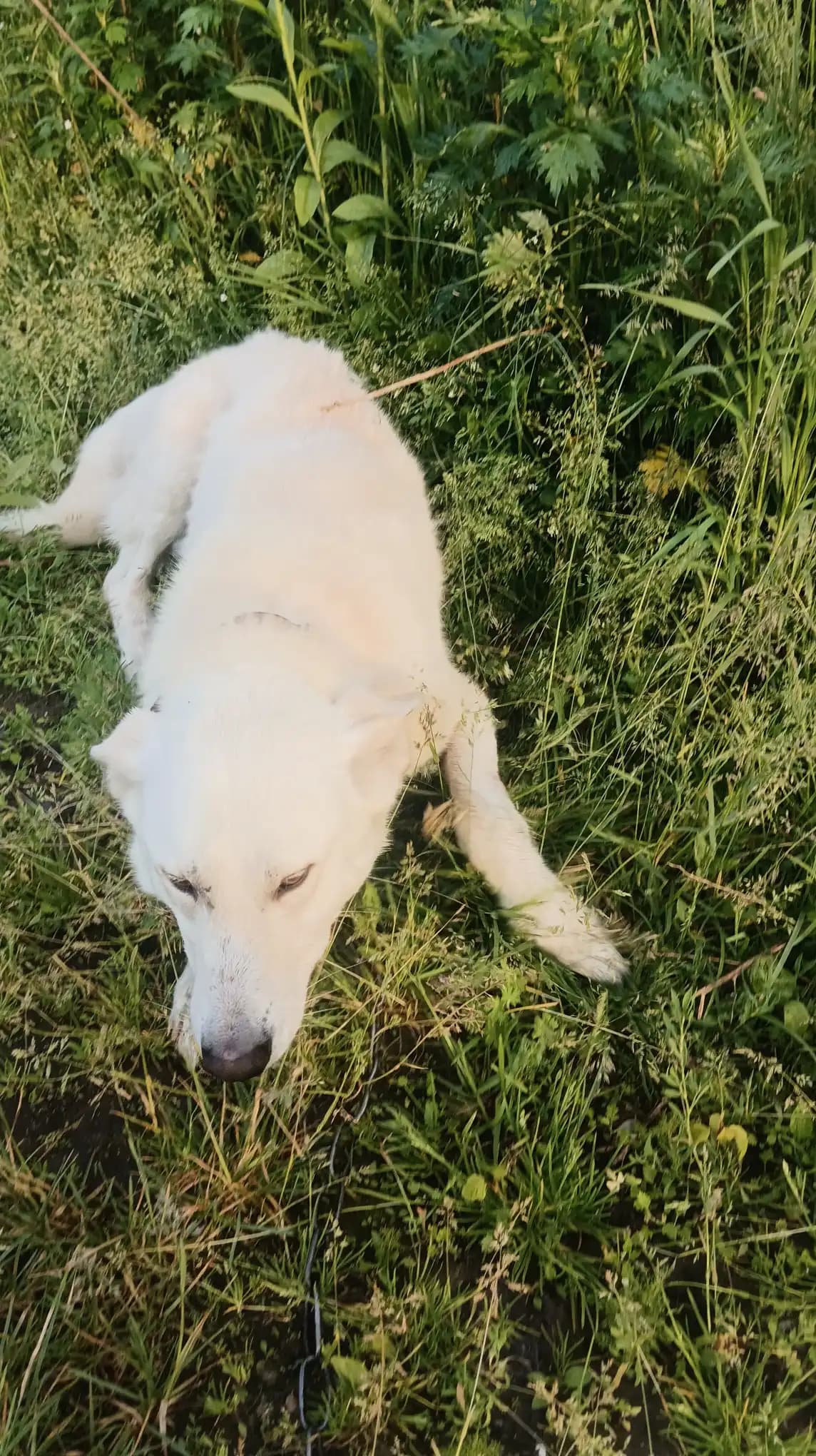 carousel-image-mobile-2