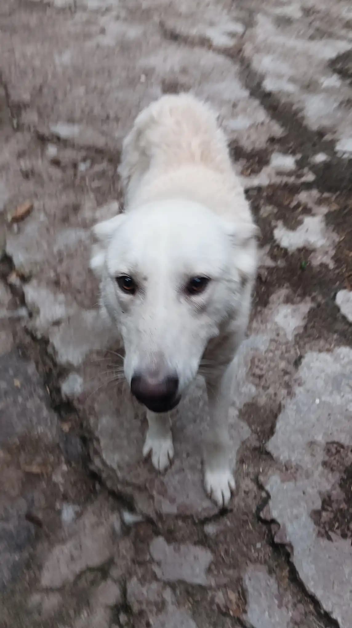 carousel-image-mobile-3