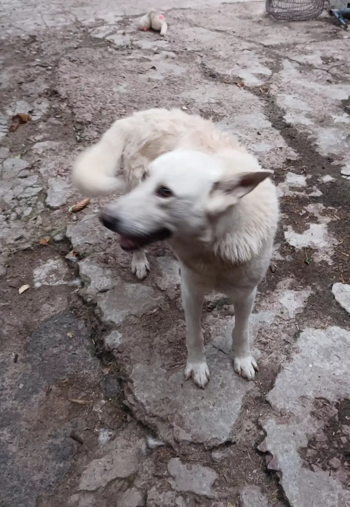 carousel-image-mobile-4