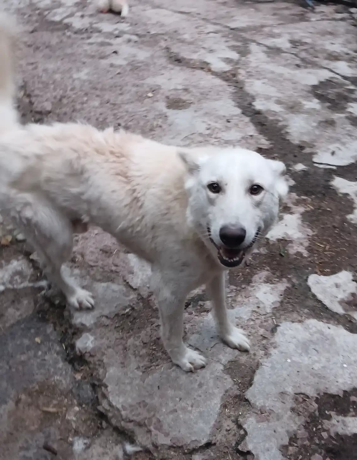 carousel-image-mobile-5