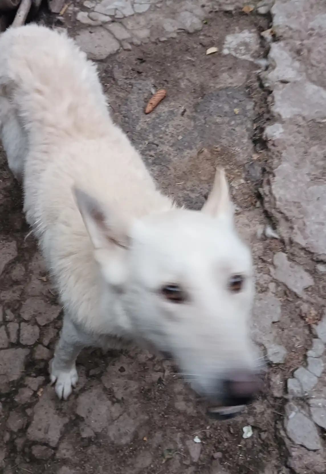 carousel-image-mobile-6