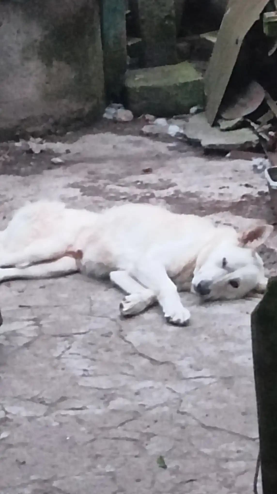 carousel-image-mobile-7