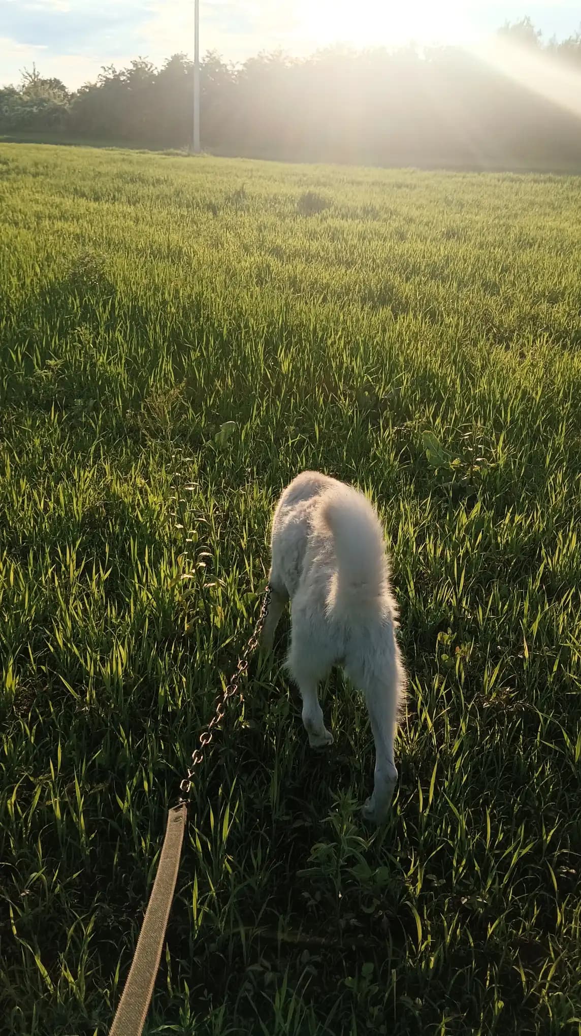 carousel-image-mobile-8