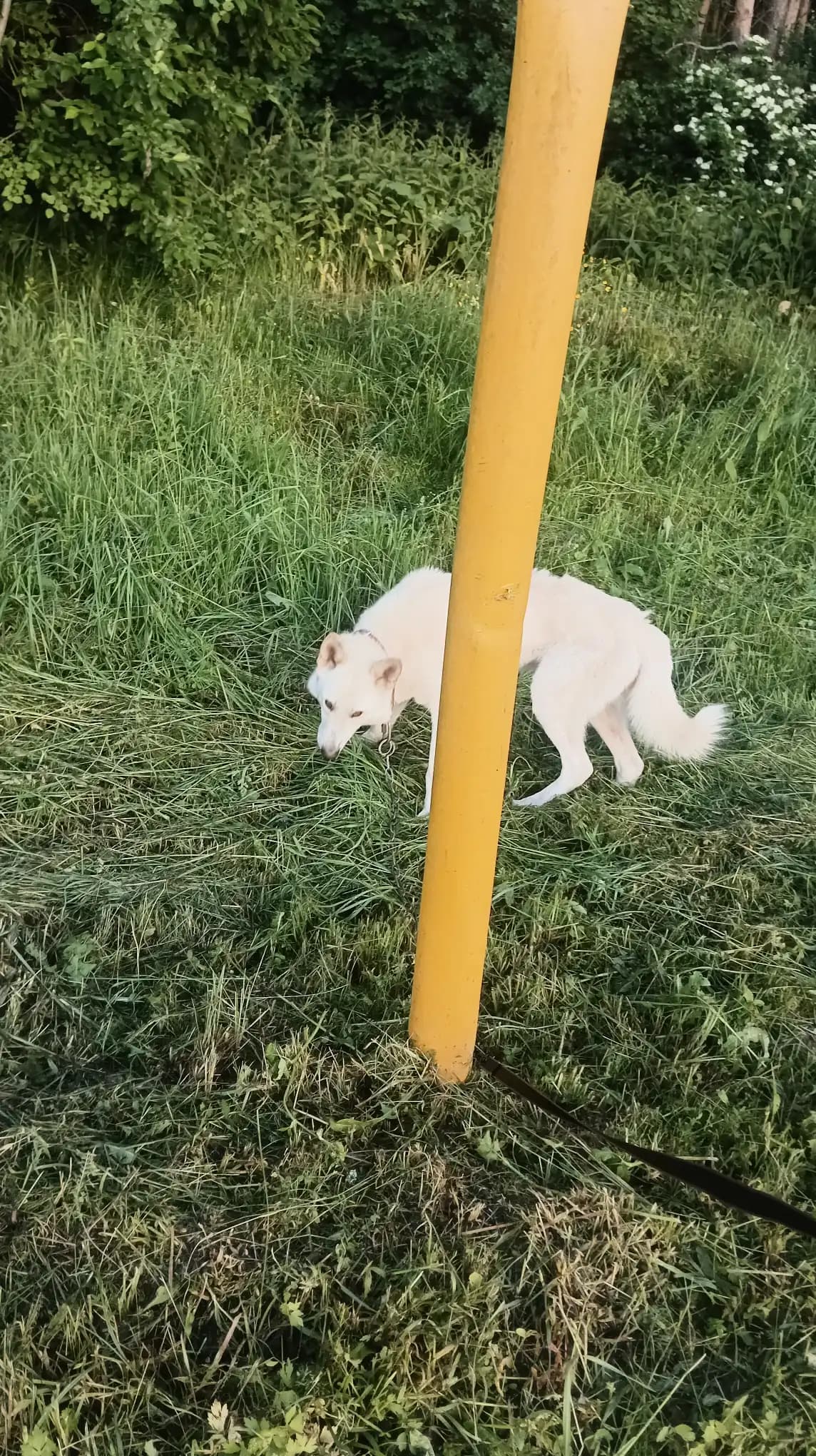 carousel-image-mobile-9