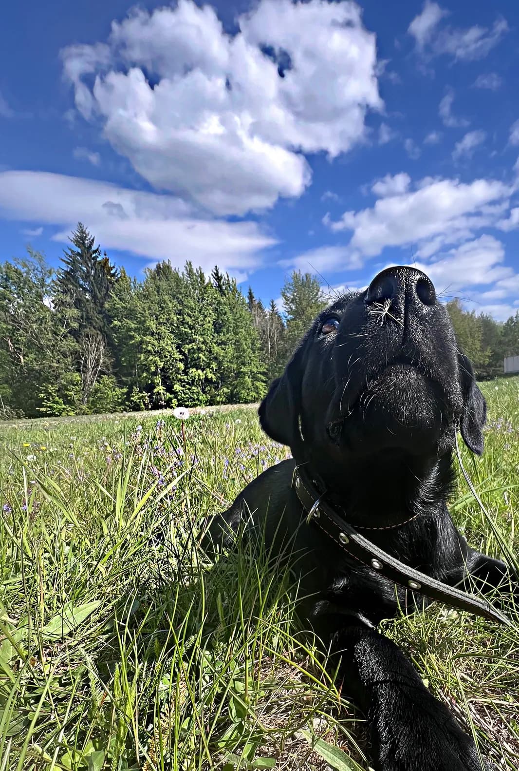 carousel-image-mobile-1