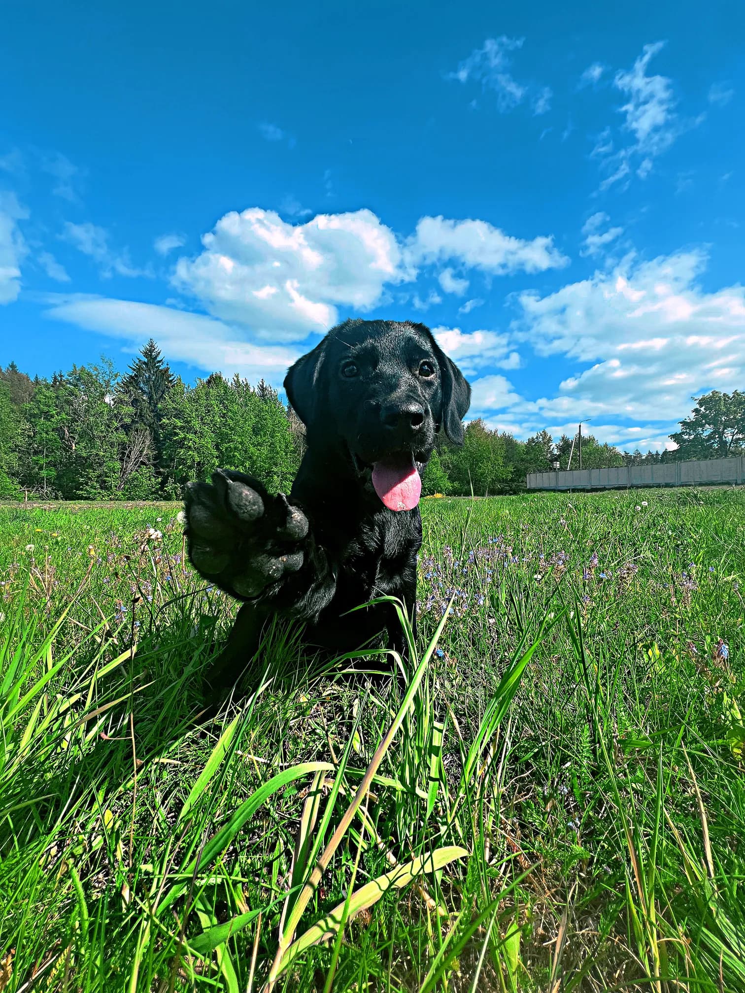 carousel-image-mobile-2