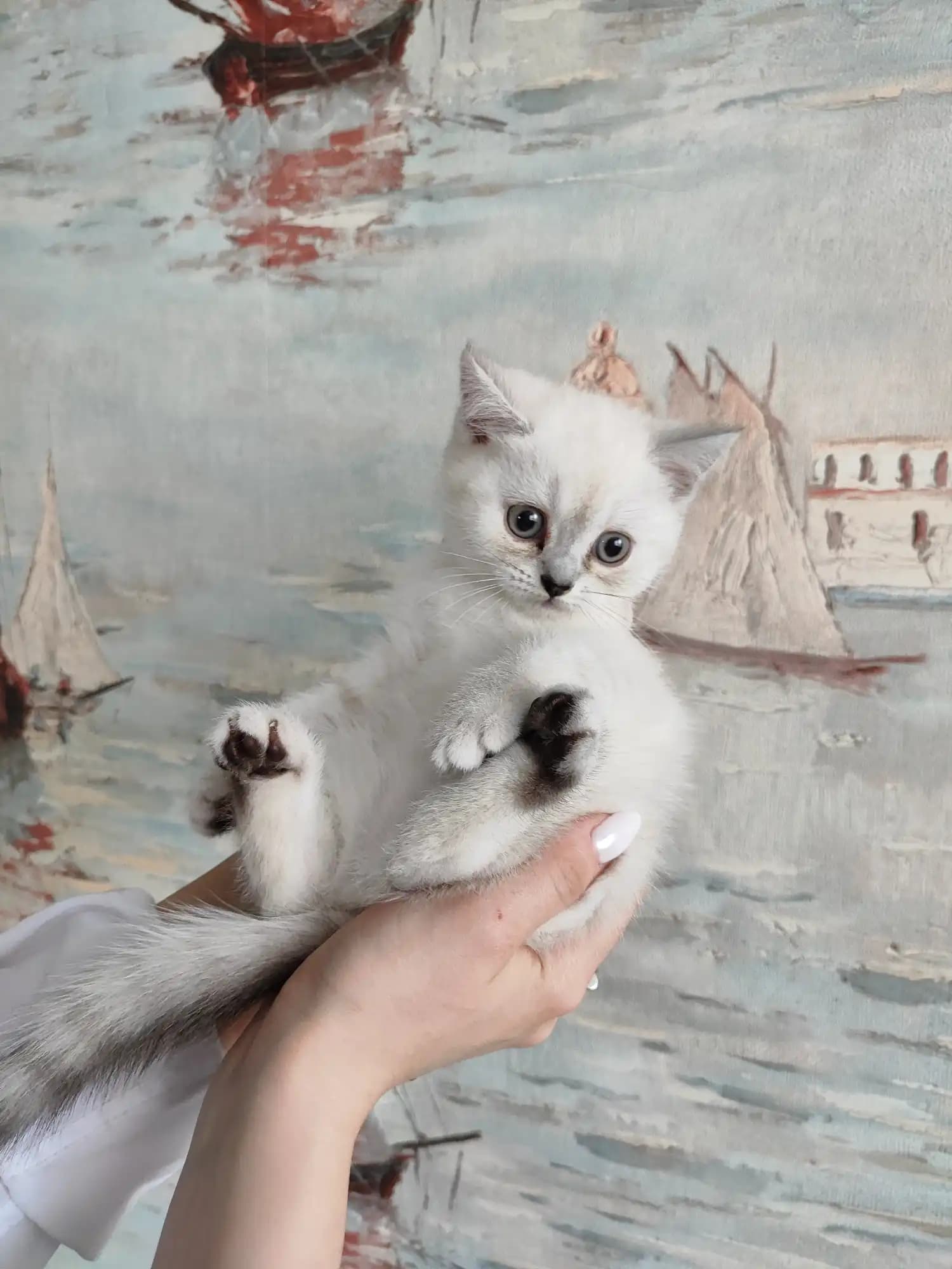 carousel-image-mobile-1