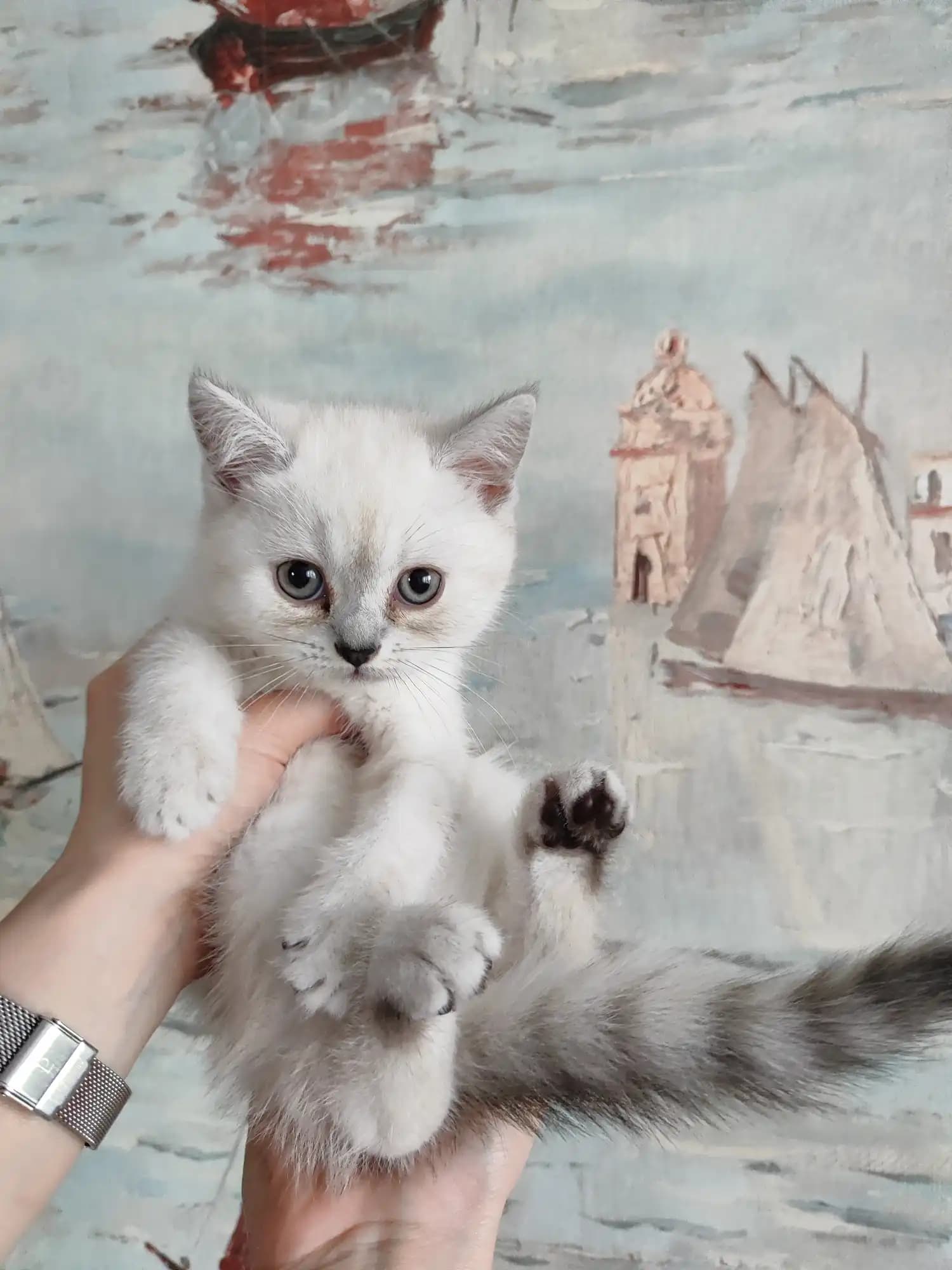 carousel-image-mobile-2