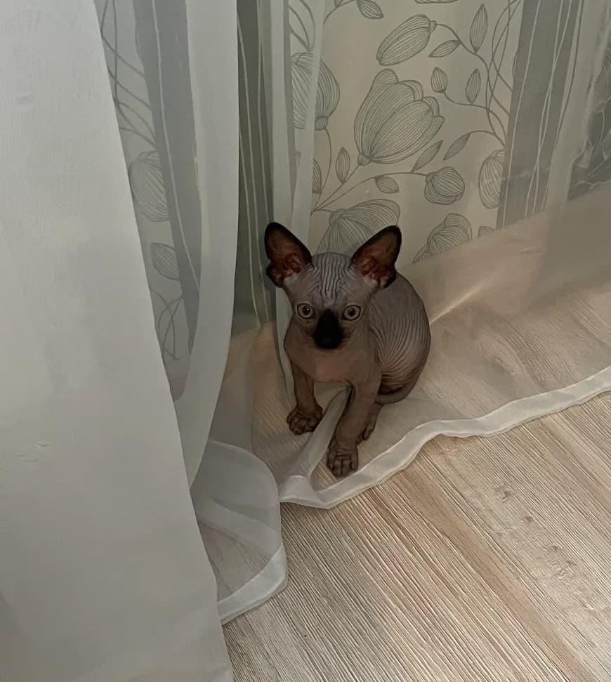 carousel-image-mobile-1