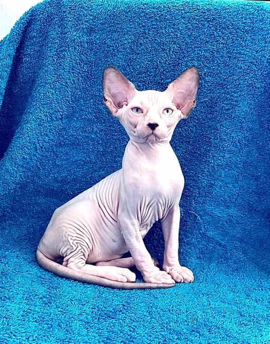 carousel-image-mobile-3