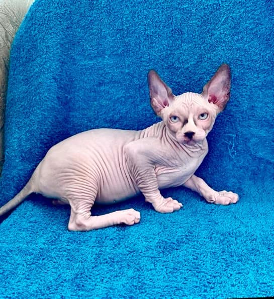 carousel-image-mobile-5