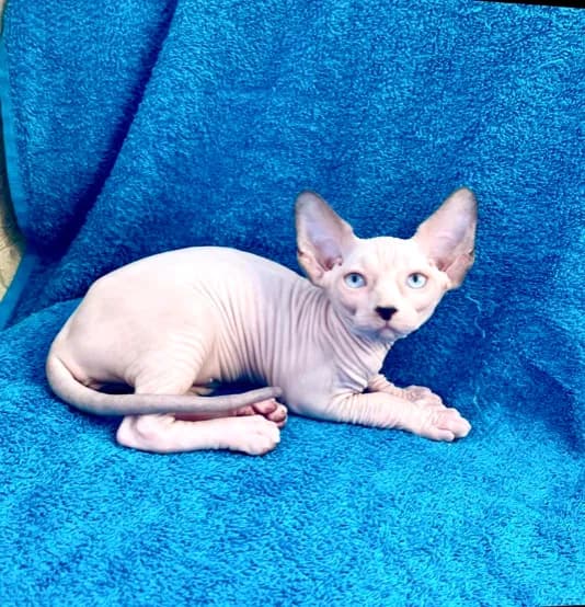 carousel-image-mobile-7