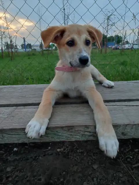 carousel-image-mobile-1