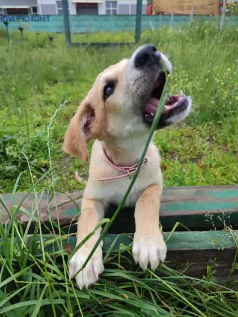 carousel-image-mobile-2