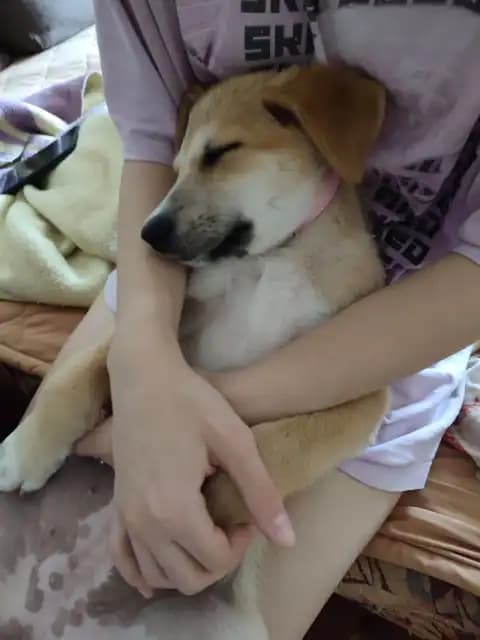 carousel-image-mobile-3