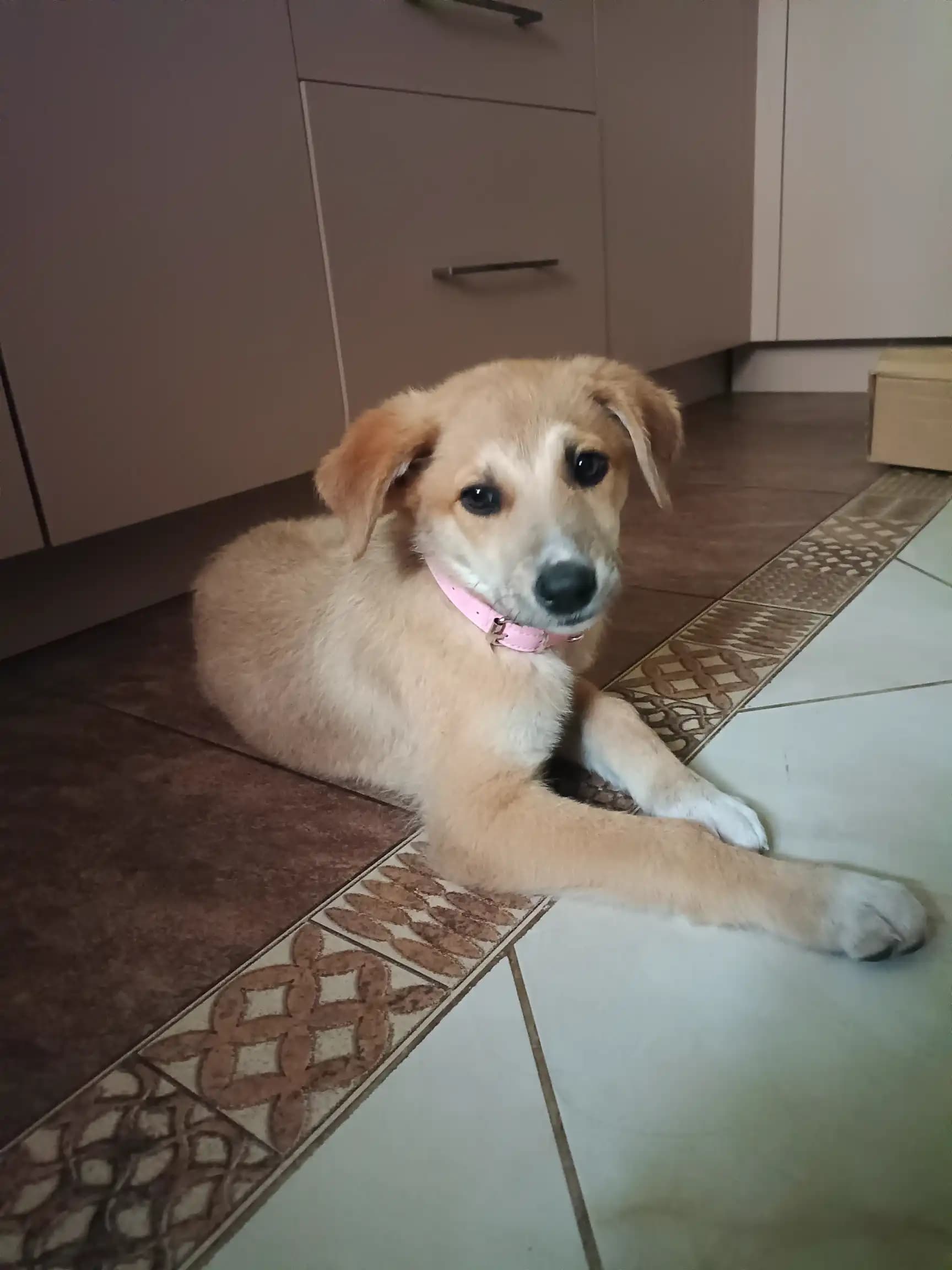 carousel-image-mobile-4