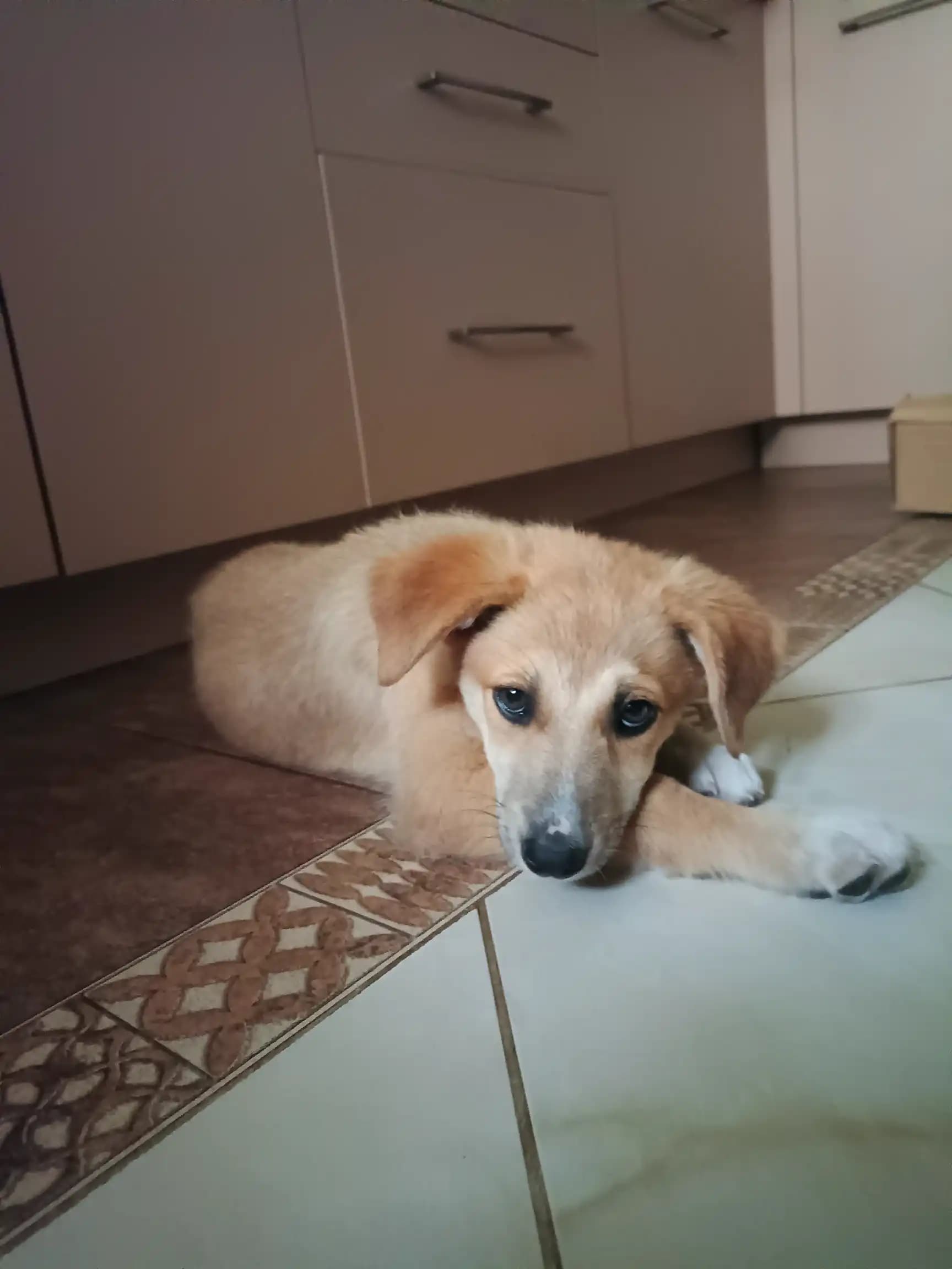 carousel-image-mobile-5