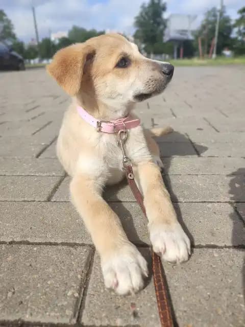 carousel-image-mobile-7