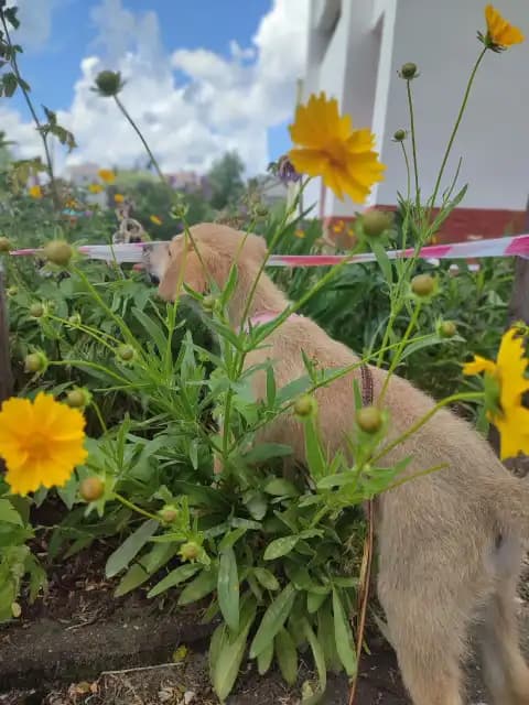 carousel-image-mobile-8