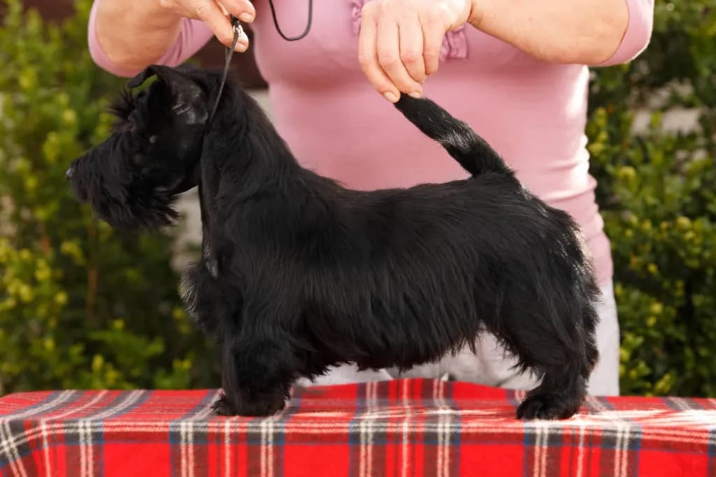 carousel-image-mobile-1