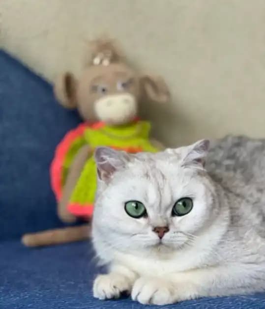 carousel-image-mobile-1