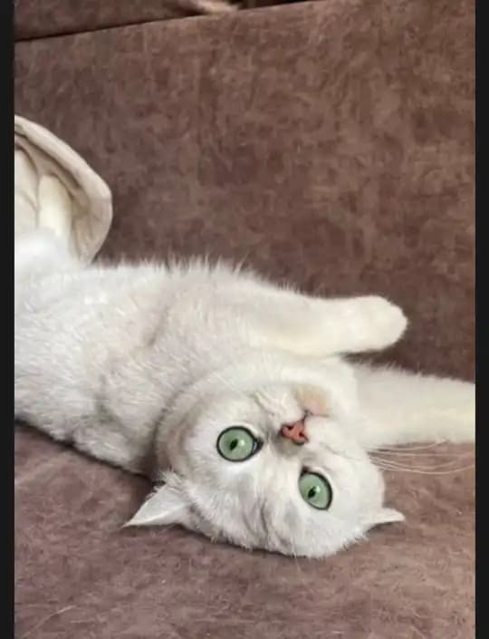 carousel-image-mobile-2