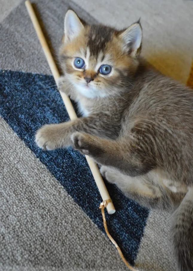 carousel-image-mobile-2