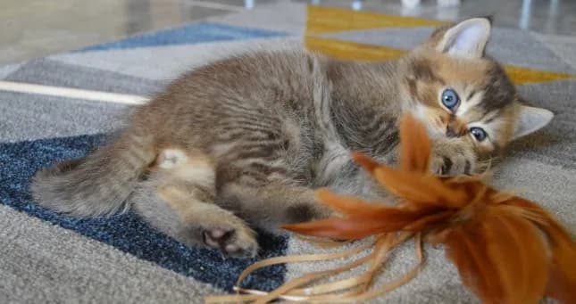 carousel-image-mobile-3