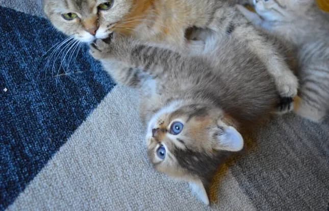 carousel-image-mobile-5