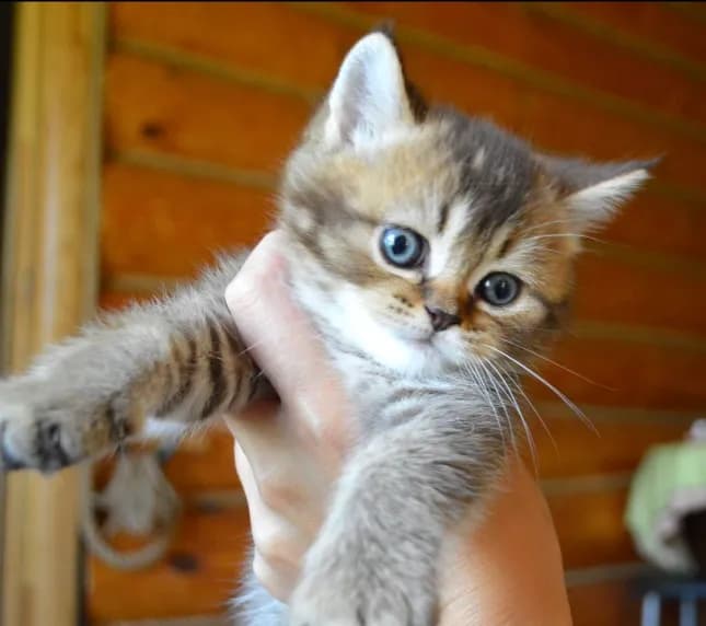 carousel-image-mobile-6