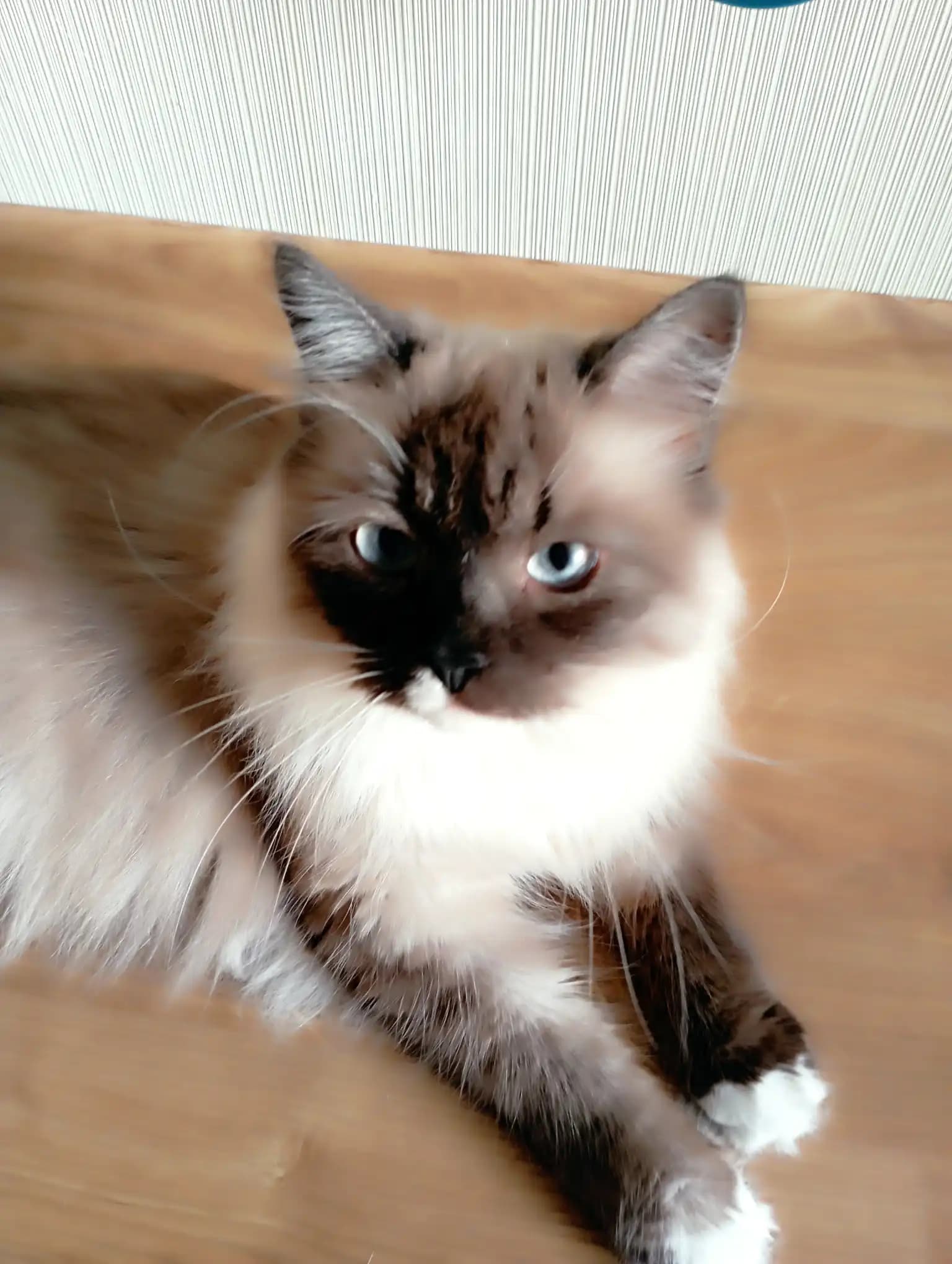 carousel-image-mobile-1