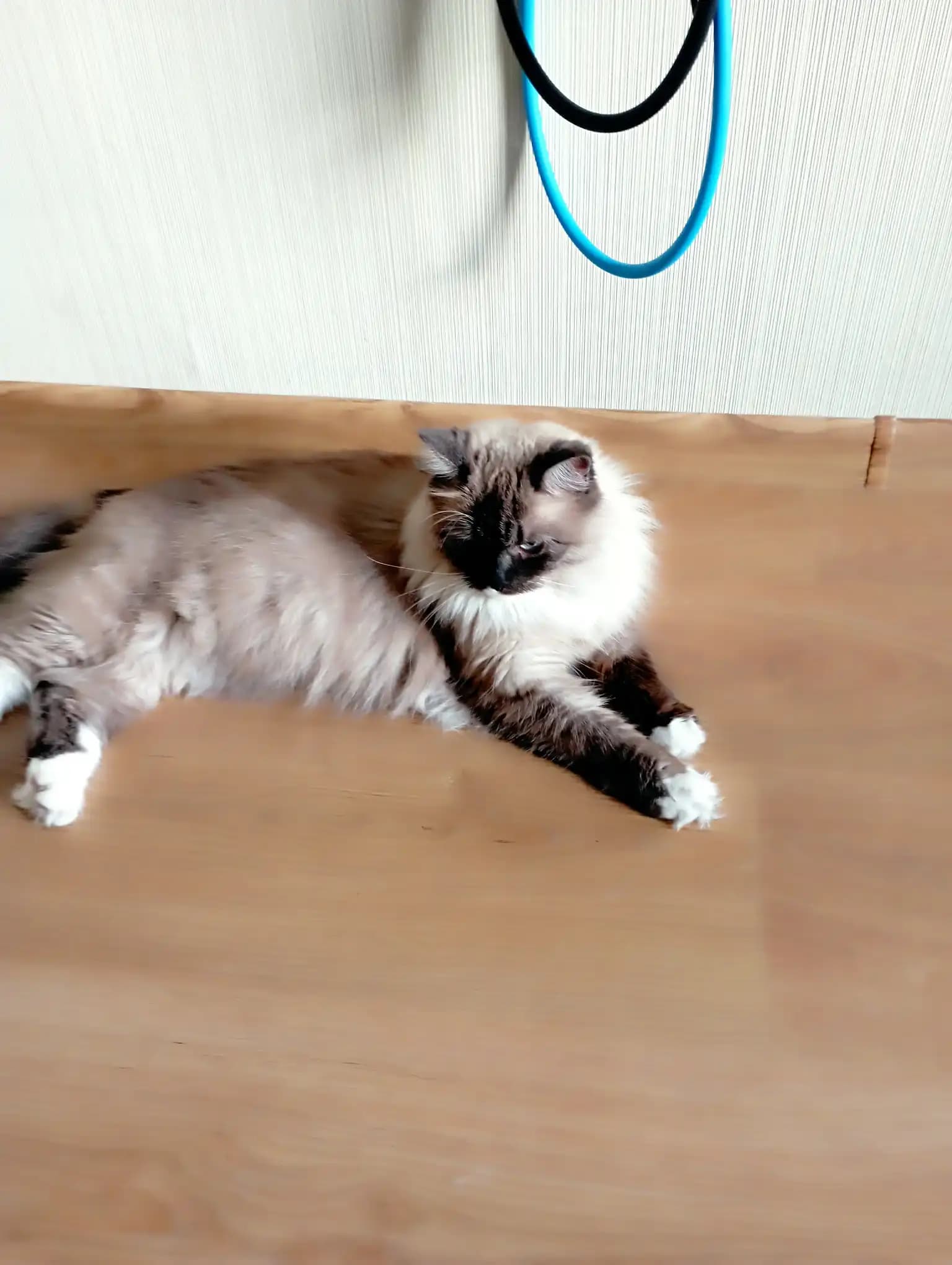 carousel-image-mobile-2