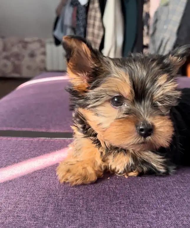 carousel-image-mobile-1