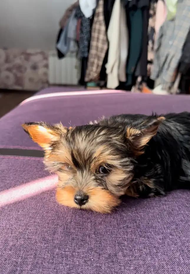 carousel-image-mobile-2