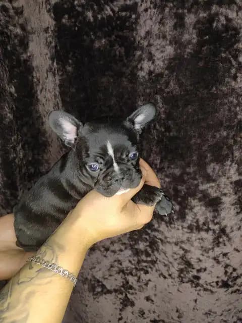 carousel-image-mobile-3