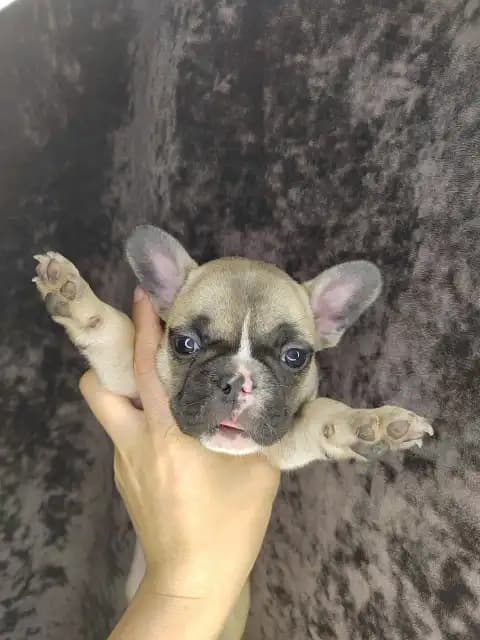 carousel-image-mobile-5