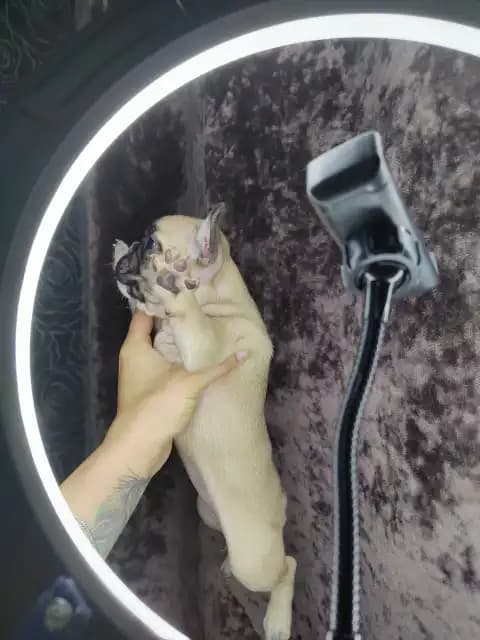 carousel-image-mobile-7