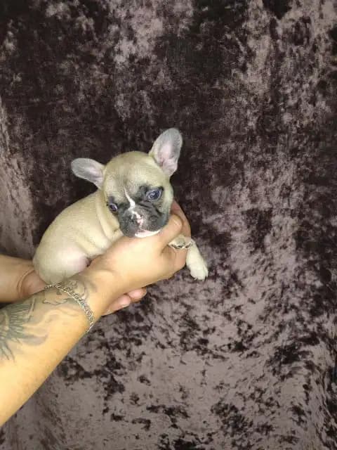 carousel-image-mobile-8