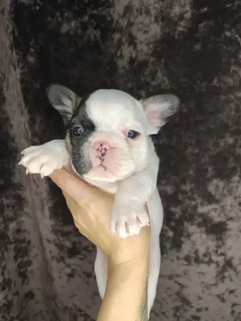 carousel-image-mobile-9