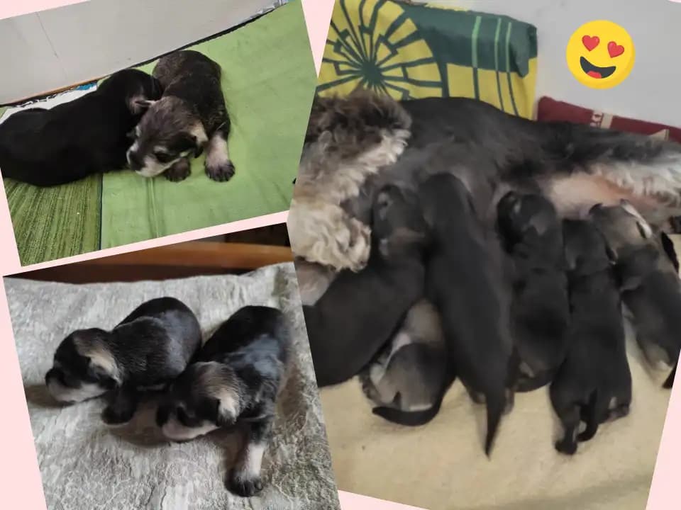 carousel-image-mobile-1