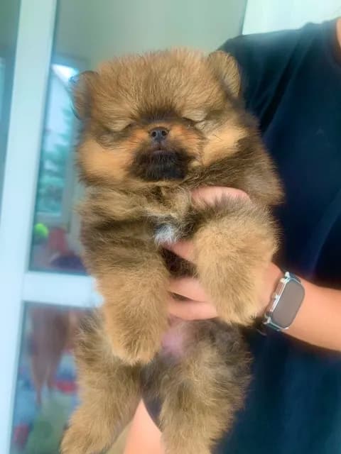 carousel-image-mobile-1