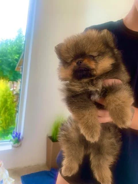 carousel-image-mobile-2