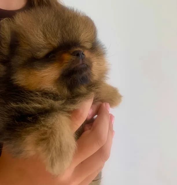 carousel-image-mobile-3