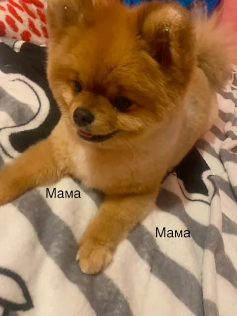 carousel-image-mobile-4